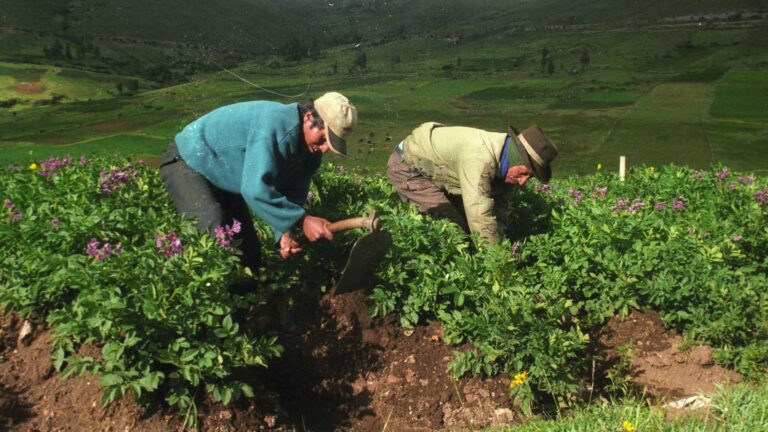 Coordinación de acciones para el desarrollo rural sustentable municipal EC0067